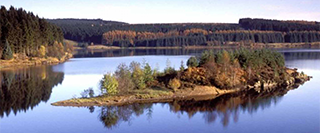 kielder-northumberland-country-cottage-holidays-2-1920x1440 Frame